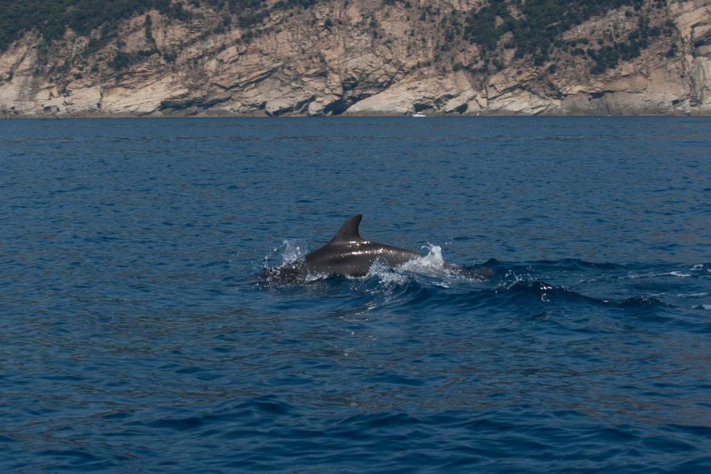 Affittacamere Mariella Λεβάντο Εξωτερικό φωτογραφία